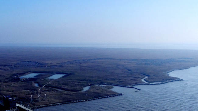 航拍九段沙湿地:上海最后一块处女地