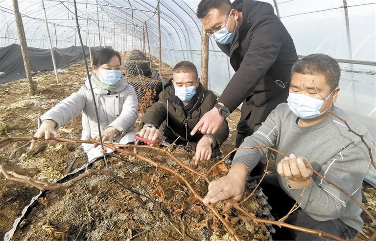 果蔬基地管护忙